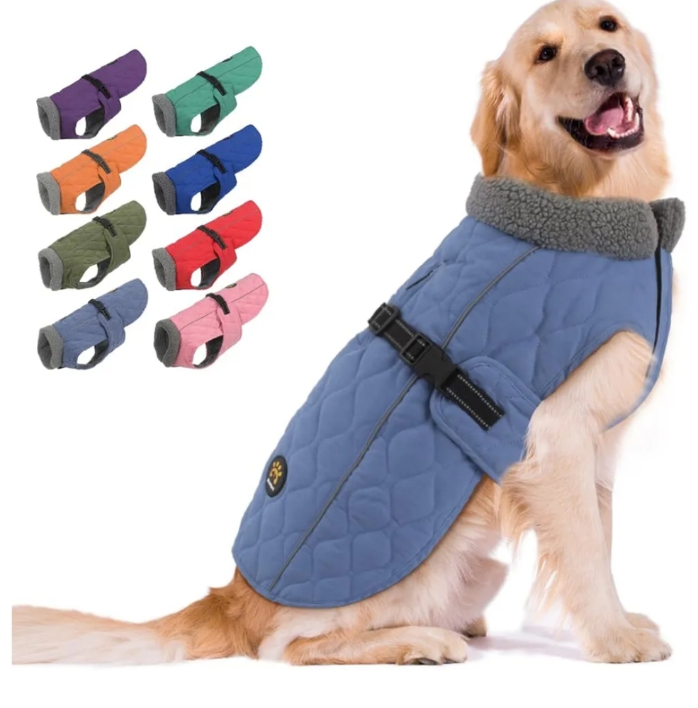 Blue Dog Coat